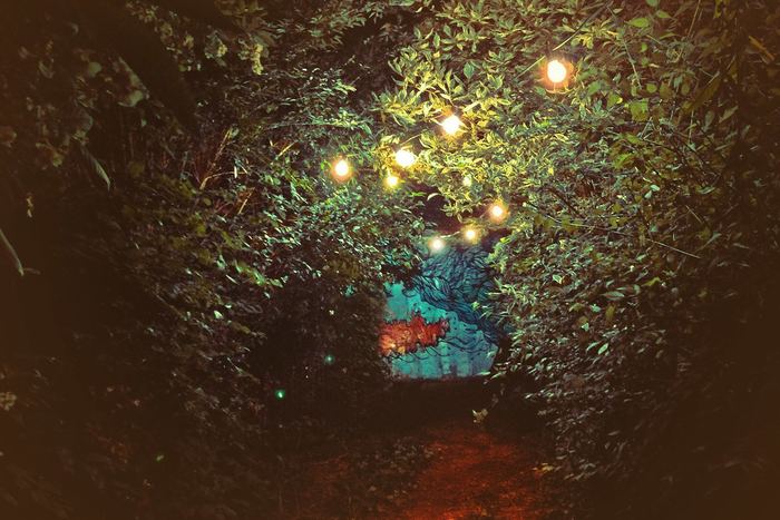 A garden path lit by small lights at night
