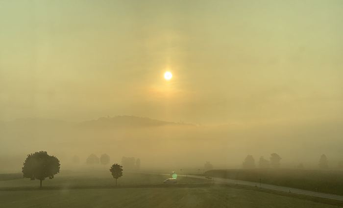 A misty field at sunrise seen from a train