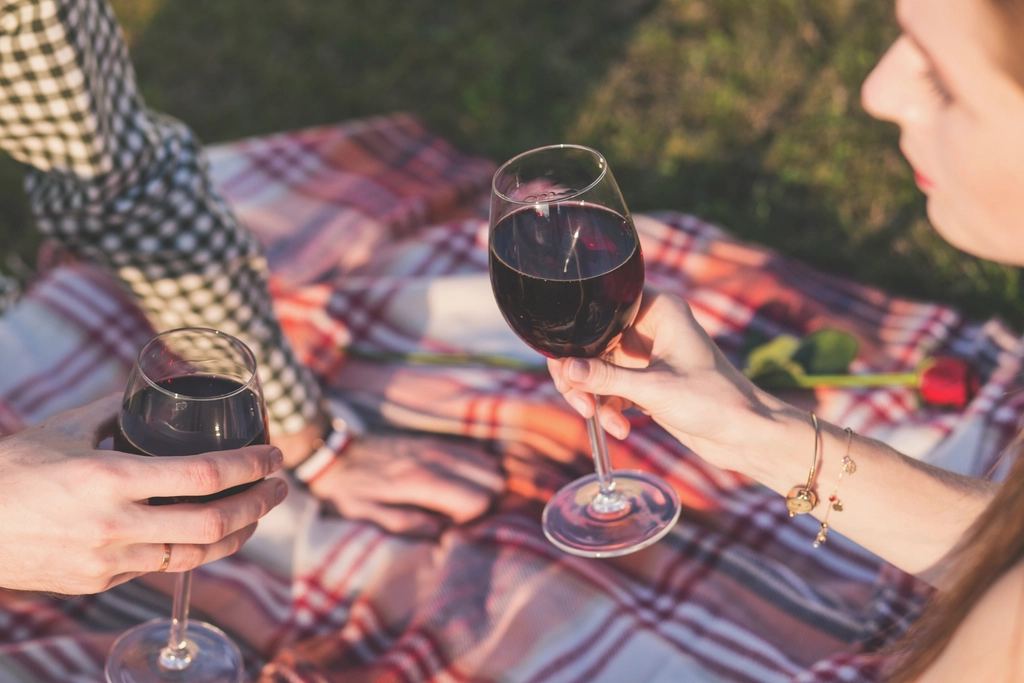 Two glasses of red wine on a plaid picnic blanket